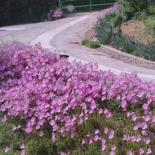 bpjh9173님의 선도농가에 선정된 소감은? · 참여글 작성글 사진