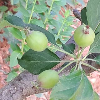 bpjh9173님의 선도농가에 선정된 소감은? · 참여글 작성글 사진