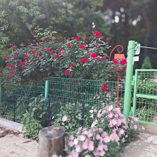 bpjh9173님의 선도농가에 선정된 소감은? · 참여글 작성글 사진