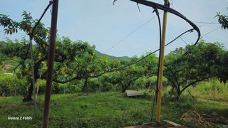 박현주님의 자유주제 · 자유게시판 작성글 사진