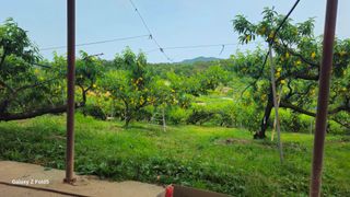 박현주님의 자유주제 · 자유게시판 작성글 사진