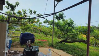 박현주님의 자유주제 · 자유게시판 작성글 사진