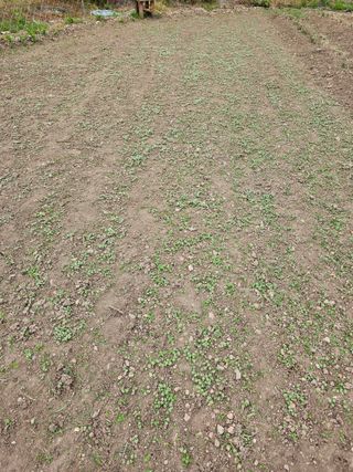 오나윤님의 자유주제 · 자유게시판 작성글 사진