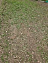 팜모닝 들깨·영농일지 게시글 이미지