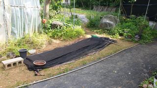 강윤원 보림팜(주)님의 자유주제 · 자유게시판 작성글 사진