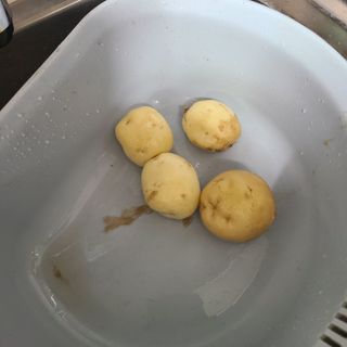 서병일님의 감자 · 영농일지 작성글 사진