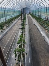 팜모닝 자유주제·사진전 게시글 이미지