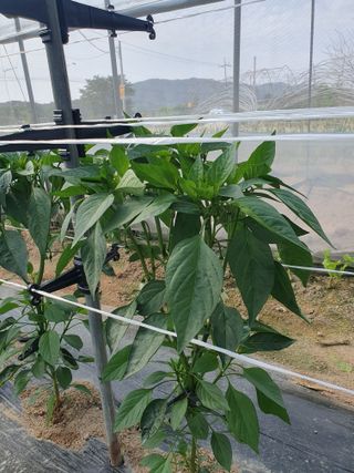 이순희님의 자유주제 · 사진전 작성글 사진