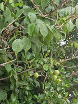 팜모닝 자유주제·자유게시판 게시글 이미지