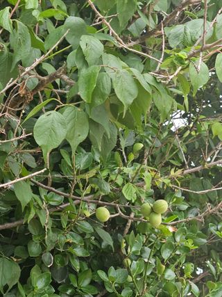 양간다리님의 자유주제 · 자유게시판 작성글 사진