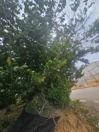 양간다리님의 자유주제 · 자유게시판 작성글 사진