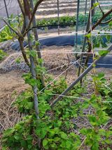 팜모닝 자유주제·자유게시판 게시글 이미지