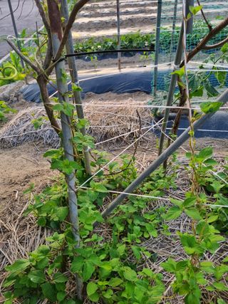 영애님의 자유주제 · 자유게시판 작성글 사진