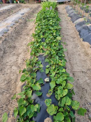 영애님의 자유주제 · 자유게시판 작성글 사진