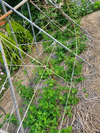 영애님의 자유주제 · 자유게시판 작성글 사진