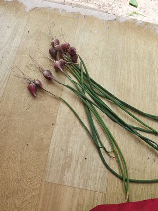 정선희님의 자유주제 · 자유게시판 작성글 사진