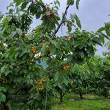 팜모닝 자유주제·자유게시판 게시글 이미지