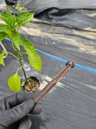 한양농자재님의 작성글 사진