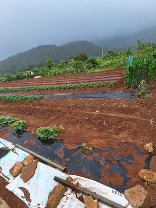 김은숙님의 자유주제 · 자유게시판 작성글 사진