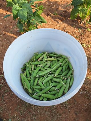 김은숙님의 자유주제 · 자유게시판 작성글 사진