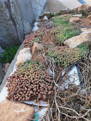 김은숙님의 자유주제 · 자유게시판 작성글 사진