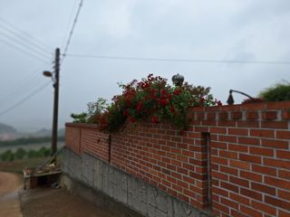 김은숙님의 자유주제 · 자유게시판 작성글 사진