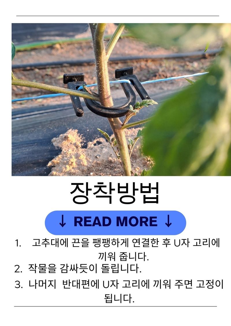 한양농자재님의 장터 판매 상품 [갈매기 고추 U클립 / 1봉-50개입] 첨부 사진