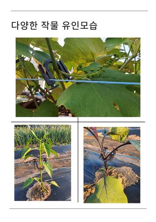 한양농자재님의 작성글 사진