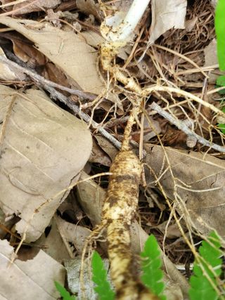 약초꾼님의 자유주제 · 칭찬해요 작성글 사진