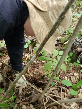 약초꾼님의 자유주제 · 칭찬해요 작성글 사진