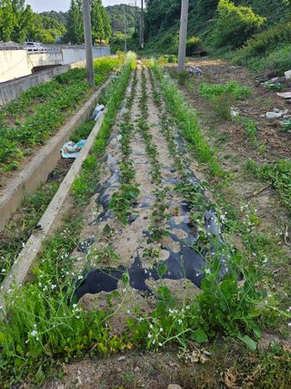 유진식님의 자유주제 · 자유게시판 작성글 사진