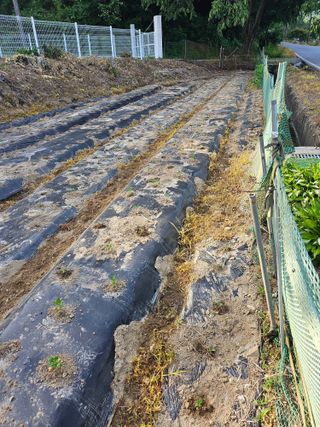 유진식님의 자유주제 · 자유게시판 작성글 사진