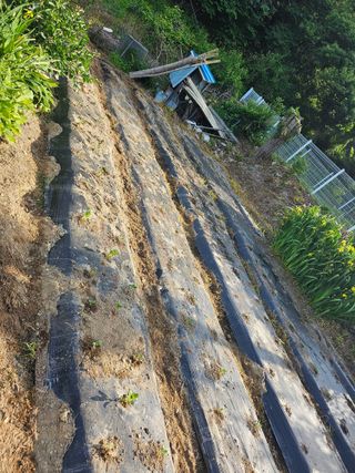 유진식님의 자유주제 · 자유게시판 작성글 사진