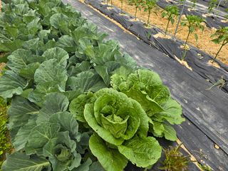 능행님의 자유주제 · 사진전 작성글 사진