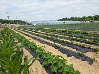 능행님의 자유주제 · 사진전 작성글 사진