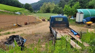 최현수님의 복숭아 · 영농일지 작성글 사진