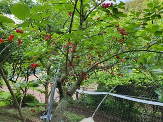 콩9543님의 자유주제 · 자유게시판 작성글 사진