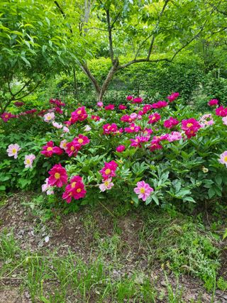 콩9543님의 자유주제 · 자유게시판 작성글 사진