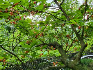 콩9543님의 자유주제 · 자유게시판 작성글 사진
