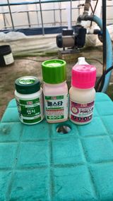 팜모닝 포도·영농일지 게시글 이미지