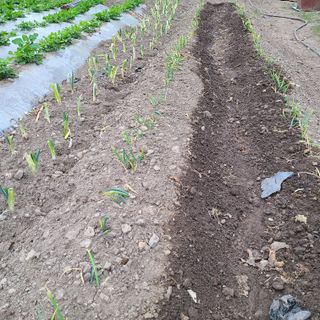 knlee님의 자유주제 · 자유게시판 작성글 사진