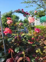 팜모닝 자유주제·자유게시판 게시글 이미지