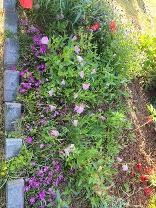 김종옥님의 자유주제 · 자유게시판 작성글 사진