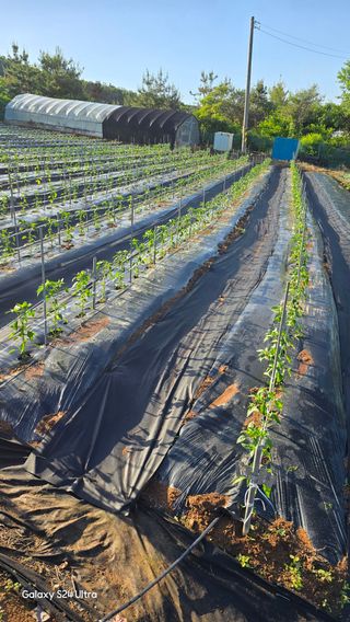 홍성부님의 자유주제 · 자유게시판 작성글 사진