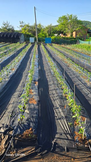 홍성부님의 자유주제 · 자유게시판 작성글 사진