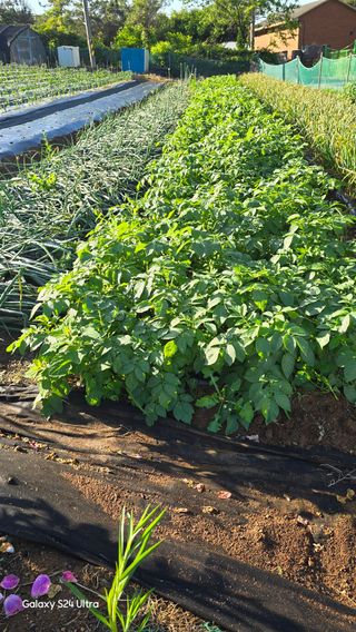 홍성부님의 자유주제 · 자유게시판 작성글 사진