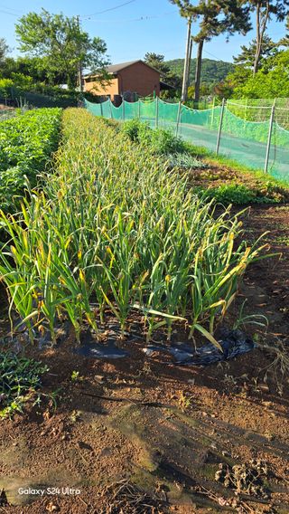 홍성부님의 자유주제 · 자유게시판 작성글 사진