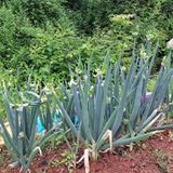 팜모닝 자유주제·자유게시판 게시글 이미지