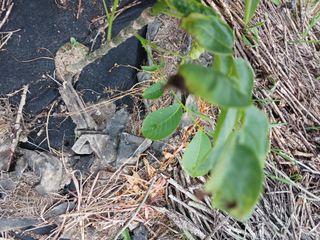 귤21345님의 자유주제 · 자유게시판 작성글 사진