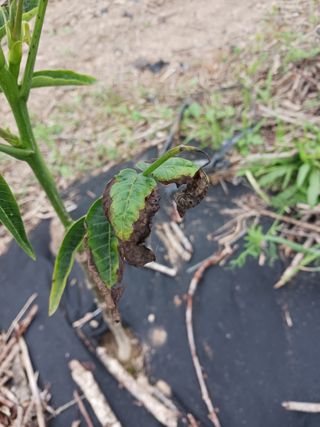 귤21345님의 자유주제 · 자유게시판 작성글 사진